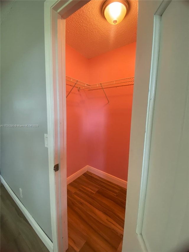 walk in closet featuring wood-type flooring