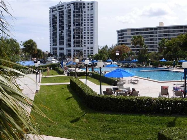 view of pool featuring a patio area and a yard