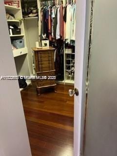 walk in closet featuring hardwood / wood-style floors