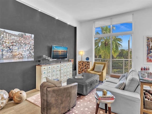 living room with hardwood / wood-style floors