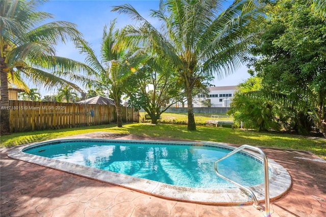 view of pool featuring a yard