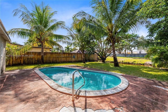 view of swimming pool featuring a patio area and a lawn