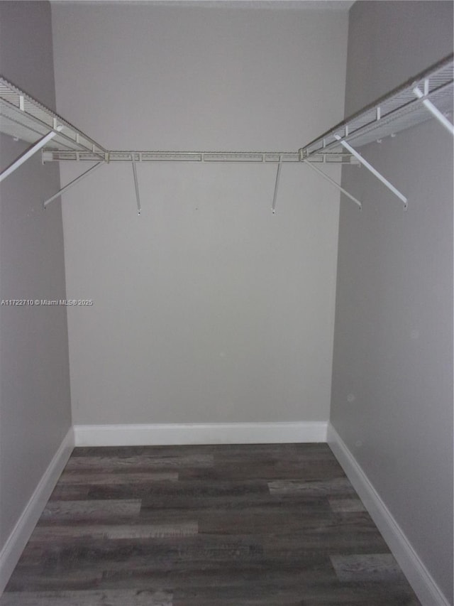 spacious closet with dark hardwood / wood-style flooring