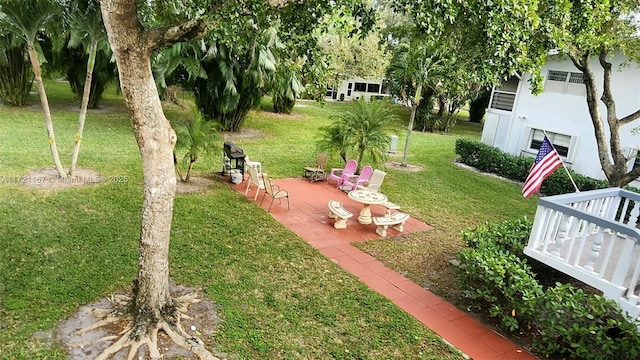 view of yard featuring a patio area