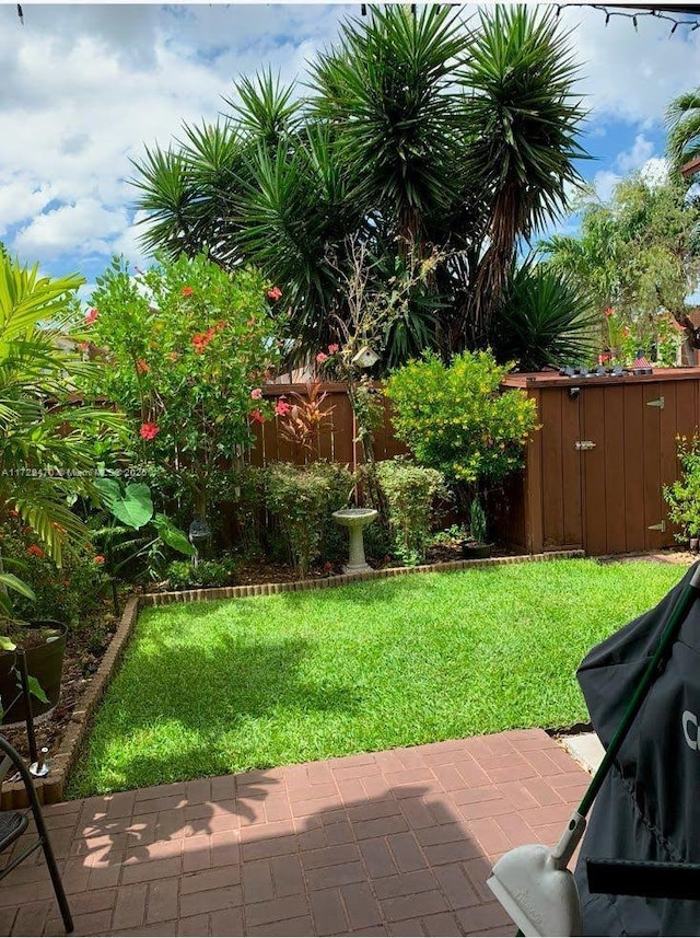 view of yard with a patio