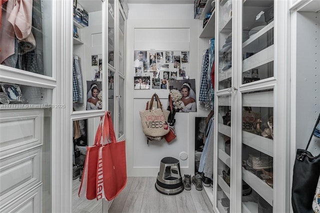 walk in closet featuring wood finished floors