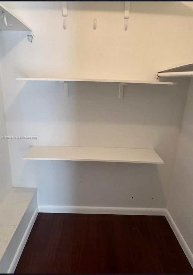 walk in closet featuring dark hardwood / wood-style flooring