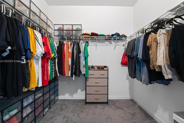 walk in closet featuring dark colored carpet