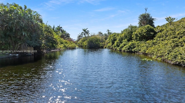 property view of water