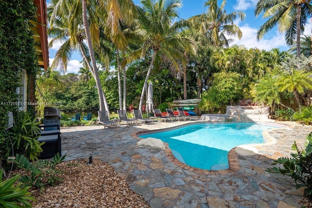 view of pool with a patio