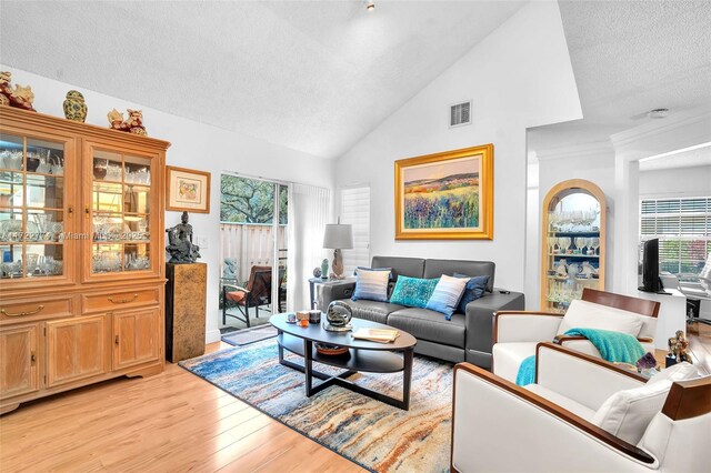 living room with high vaulted ceiling, a healthy amount of sunlight, light hardwood / wood-style floors, and a textured ceiling