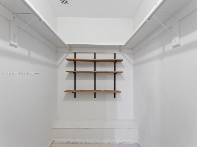 view of spacious closet