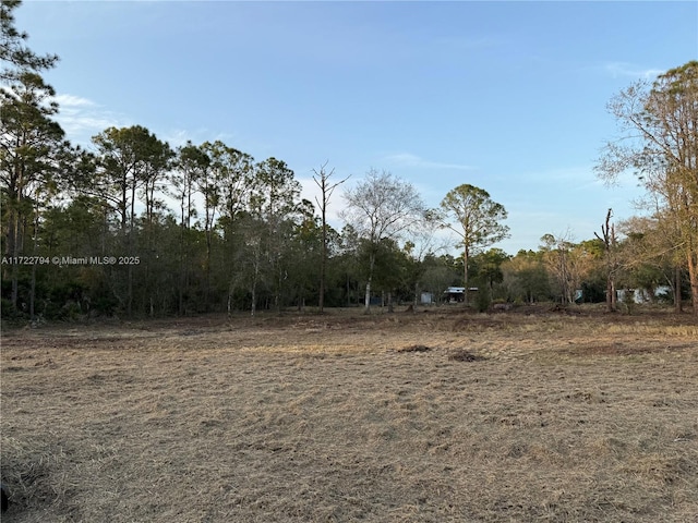 Listing photo 3 for 615 Horse Club Ave, Clewiston FL 33440