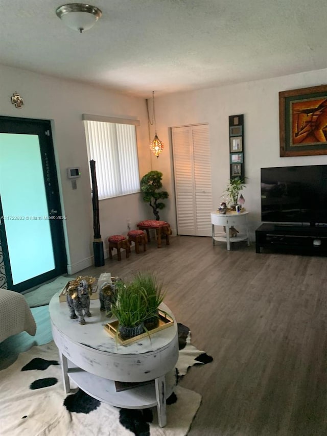 living room featuring hardwood / wood-style floors