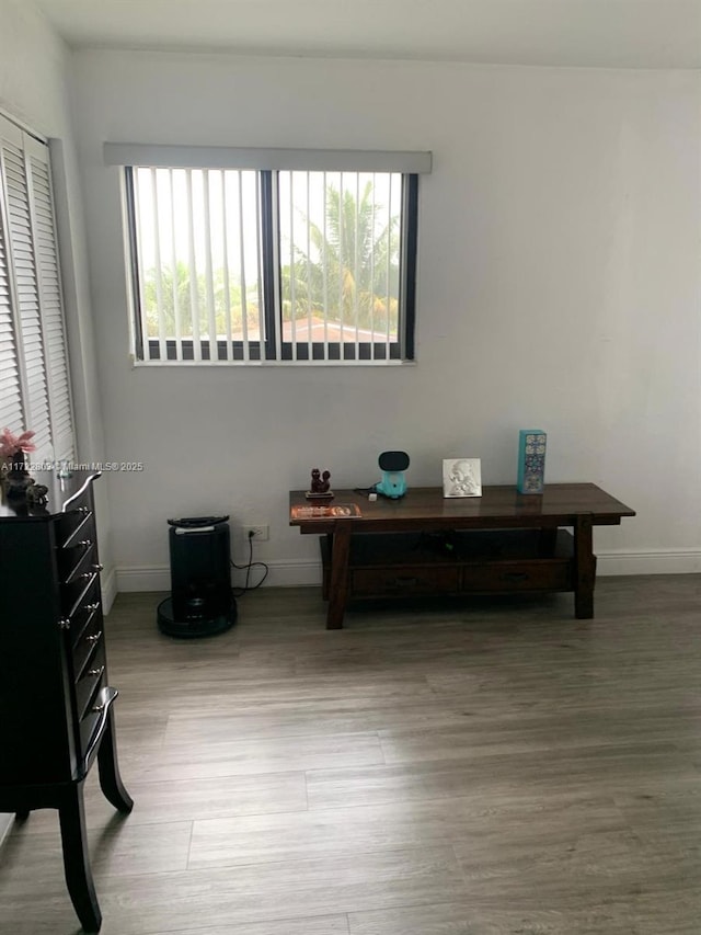 interior space featuring hardwood / wood-style floors