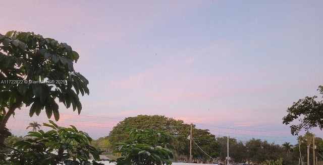 view of nature at dusk