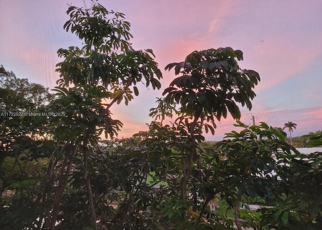 view of nature at dusk