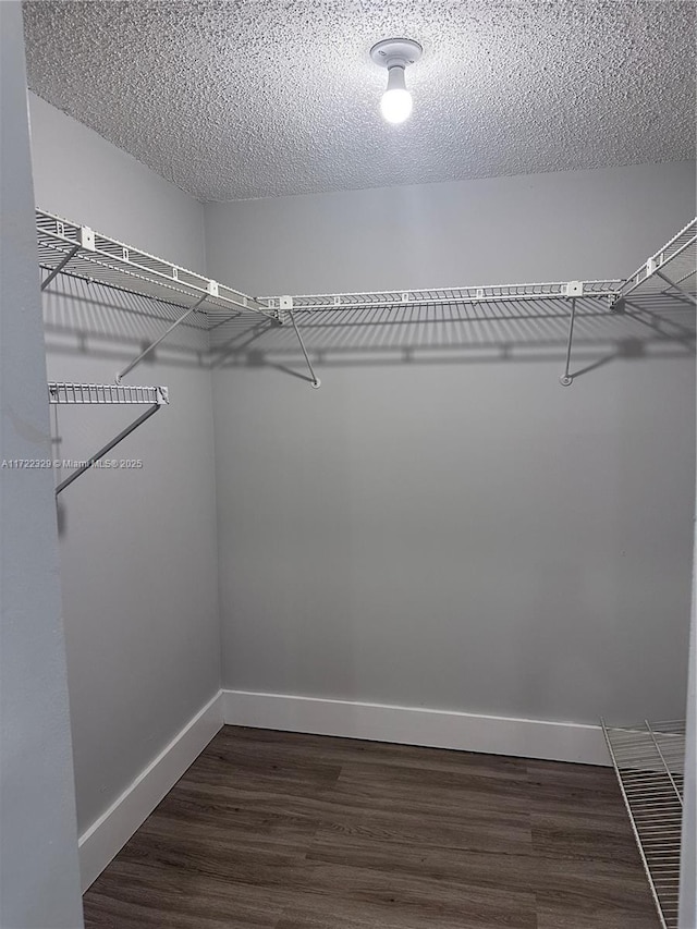 walk in closet featuring dark hardwood / wood-style flooring