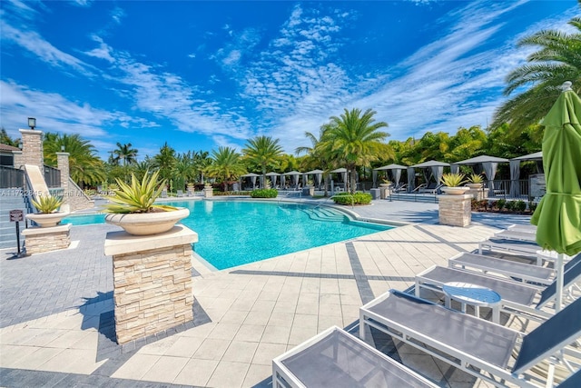 view of swimming pool with a patio