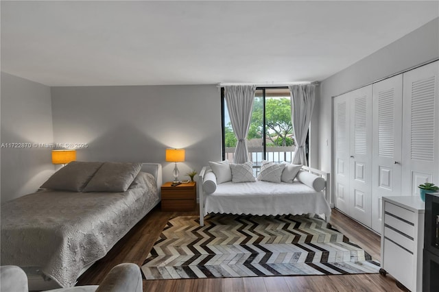 bedroom featuring a closet and dark wood-type flooring