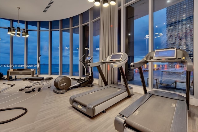 exercise room with hardwood / wood-style floors and expansive windows