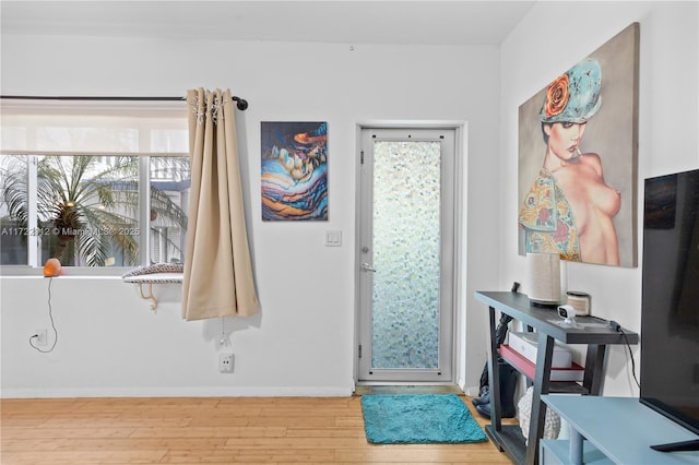 foyer entrance with hardwood / wood-style flooring