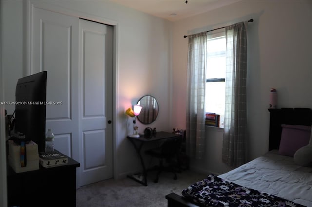 bedroom featuring light carpet and a closet