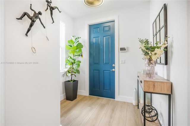 interior space featuring a healthy amount of sunlight and light hardwood / wood-style flooring