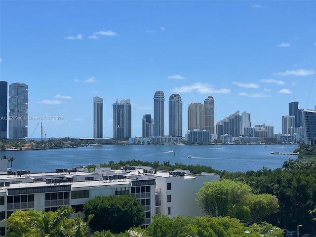 3300 NE 192nd St Unit 918, Aventura, FL 33180 - exterior space with a water view