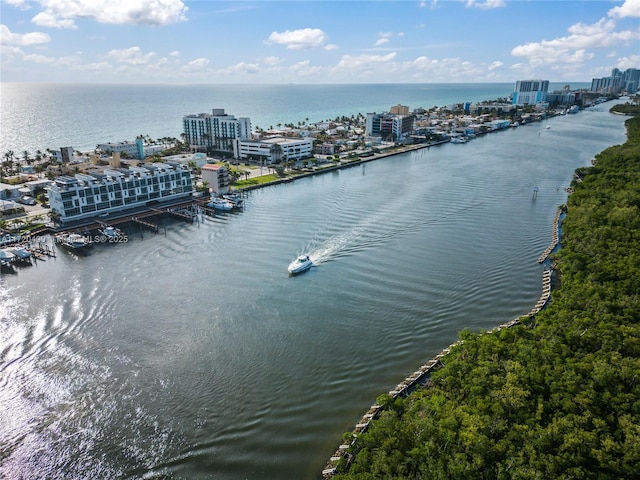 aerial view featuring a view of city and a water view