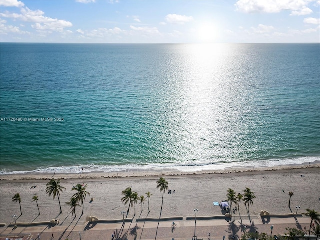 view of water feature with a beach view