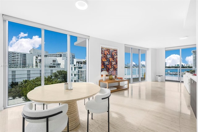 dining room featuring floor to ceiling windows and a healthy amount of sunlight