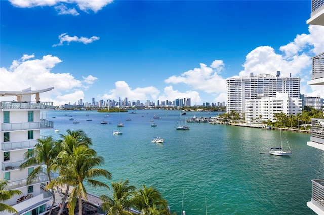 1445 16th St Unit 703, Miami Beach, FL 33139 - view of water feature with a city view