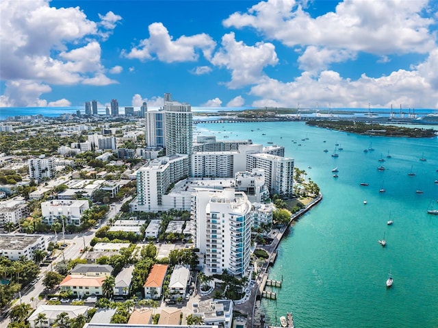 aerial view with a water view