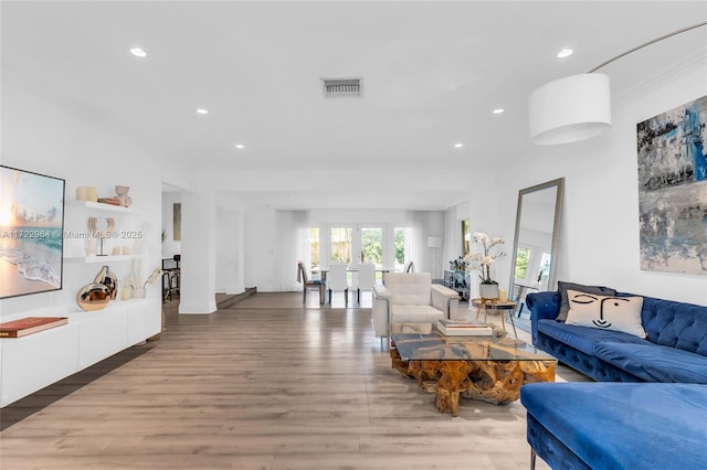 living room with wood-type flooring