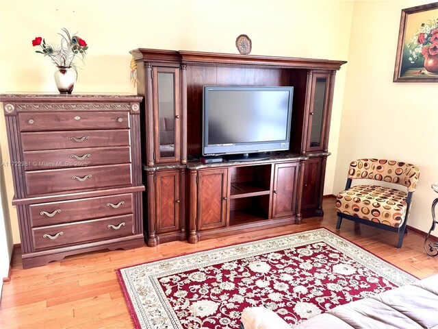 living room featuring light hardwood / wood-style floors