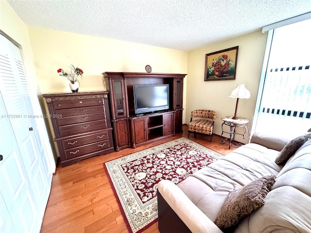 living room featuring a textured ceiling, light wood-type flooring, and a healthy amount of sunlight