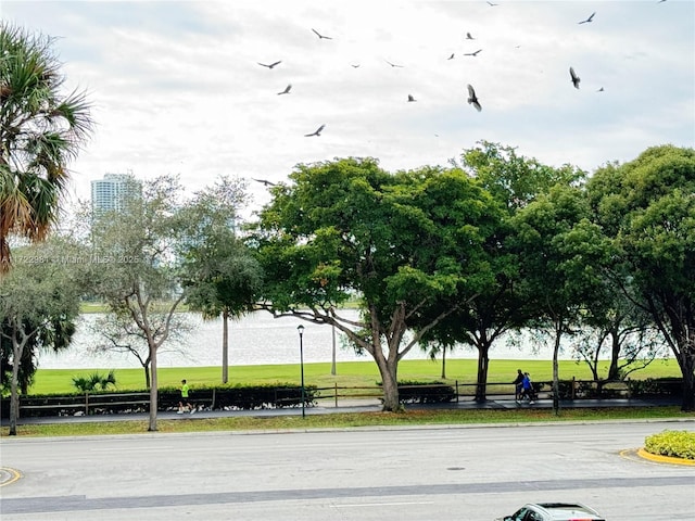 view of home's community with a lawn