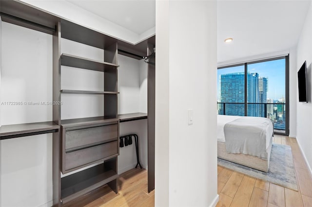 walk in closet featuring light wood-type flooring