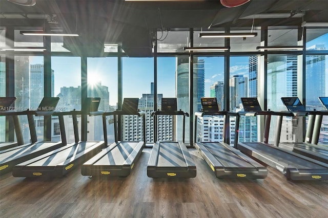 gym featuring hardwood / wood-style flooring and a wall of windows