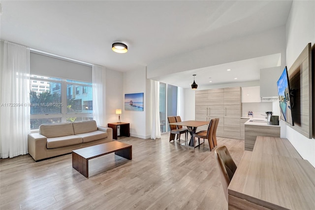 living room with light hardwood / wood-style flooring