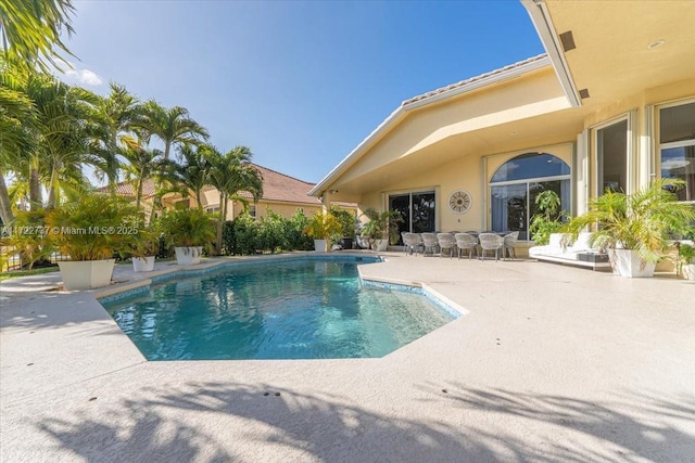 view of pool with a patio area