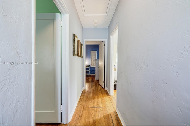 hall featuring hardwood / wood-style flooring