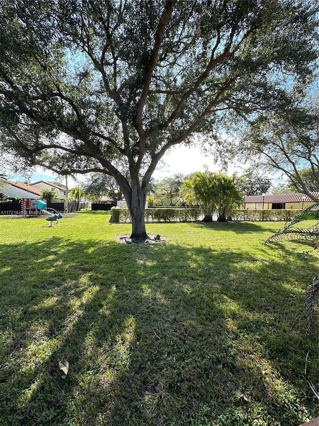 view of yard