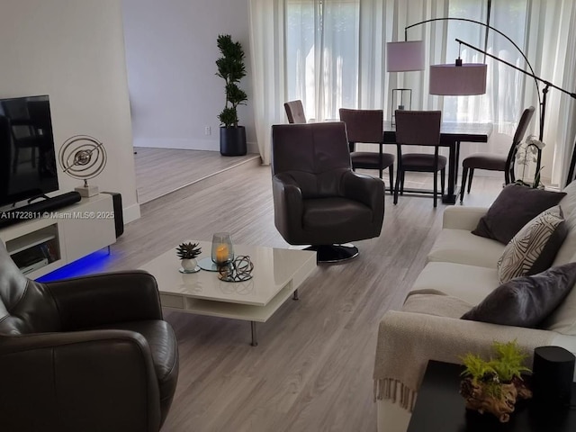 living room featuring light hardwood / wood-style floors