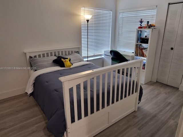 bedroom featuring a closet and wood-type flooring