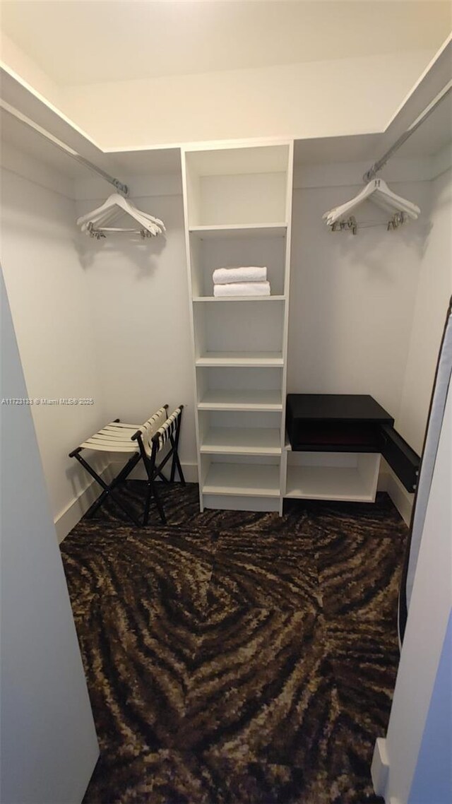 spacious closet featuring carpet