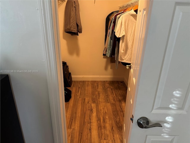 spacious closet with hardwood / wood-style floors