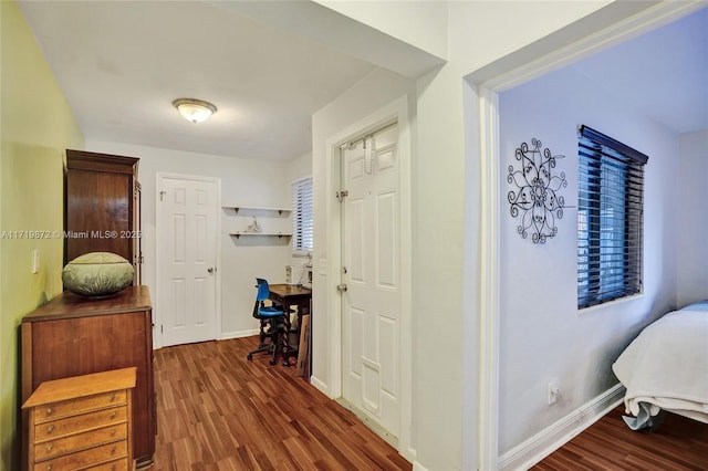 hallway featuring dark hardwood / wood-style flooring