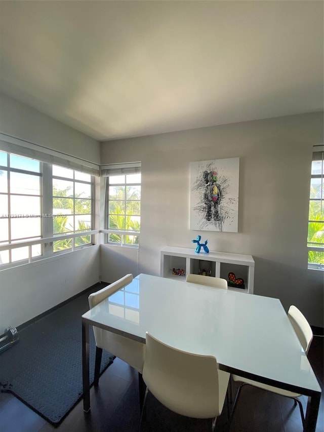 dining space with a wealth of natural light